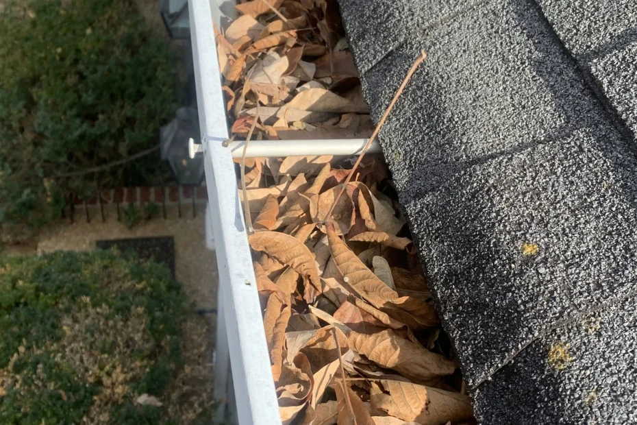 Gutter Cleaning Wildwood