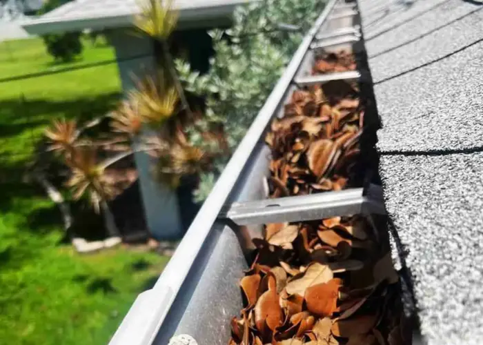 Gutter Cleaning Wildwood home page